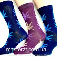 Шкарпетки чоловічі Мастер 27-29р демісезонні листя високі темне асорті¶