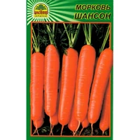 Семена моркови Шансон 1 г (Seminis)