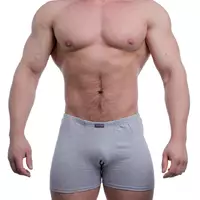 Atlet мужские трусы шорты боксеры 950119 серый меланж