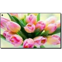 Алмазная мозаика по номерам 30*40 "Розовые тюльпаны" в рулоне