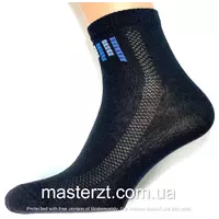 Шкарпетки чоловічі Мастер 25-27р чорні середні тетріс¶